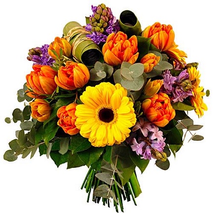 Bouquet tulipes et germini